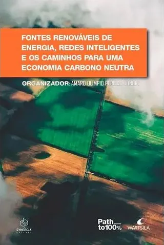 FONTES RENOVÁVEIS DE ENERGIA, REDES INTELIGENTES E OS CAMINHOS