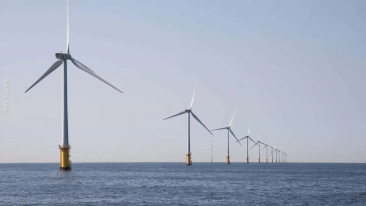 Leilão de Eólica offshore: Brasil se prepara para decisão histórica com apoio da Coppe